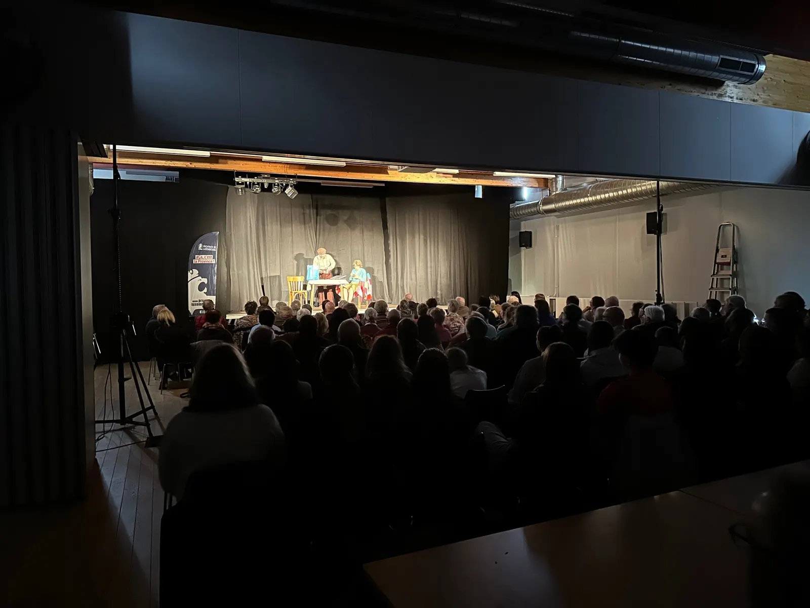 Grande salle en configuration spectacle : public assis face à la scène éclairée, salle plongée dans la pénombre.